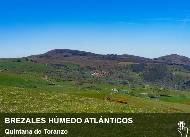 Brezales húmedos atlánticos Quintana de Toranzo